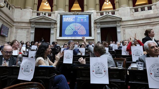 Diputados aprobó la vuelta de la moratoria previsional (Foto: HCDN)