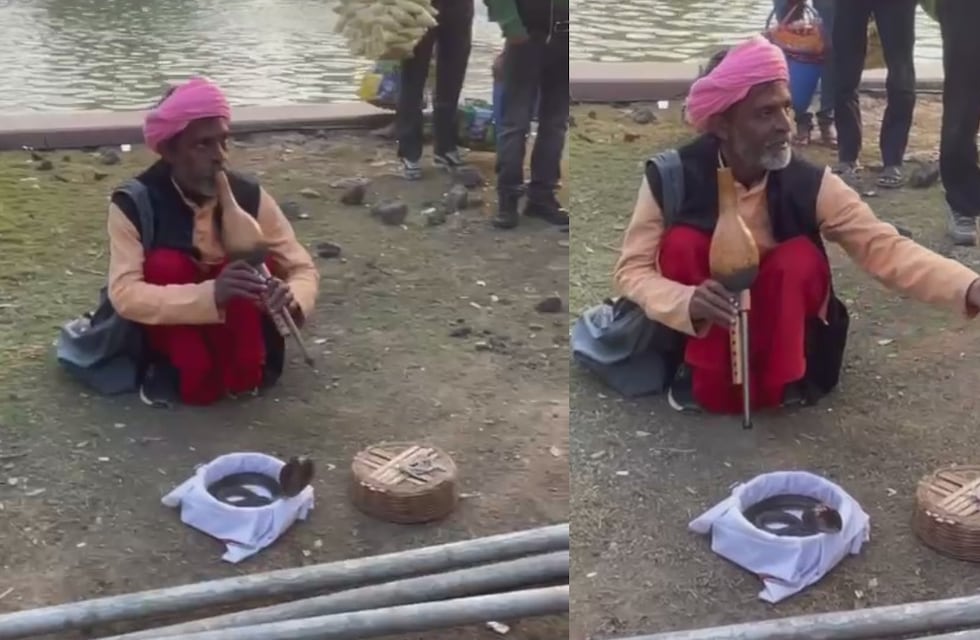 El cordobés Facundo Zárate agarró una cobra en la India: “¡Qué va a ser de mentira, cul...!”