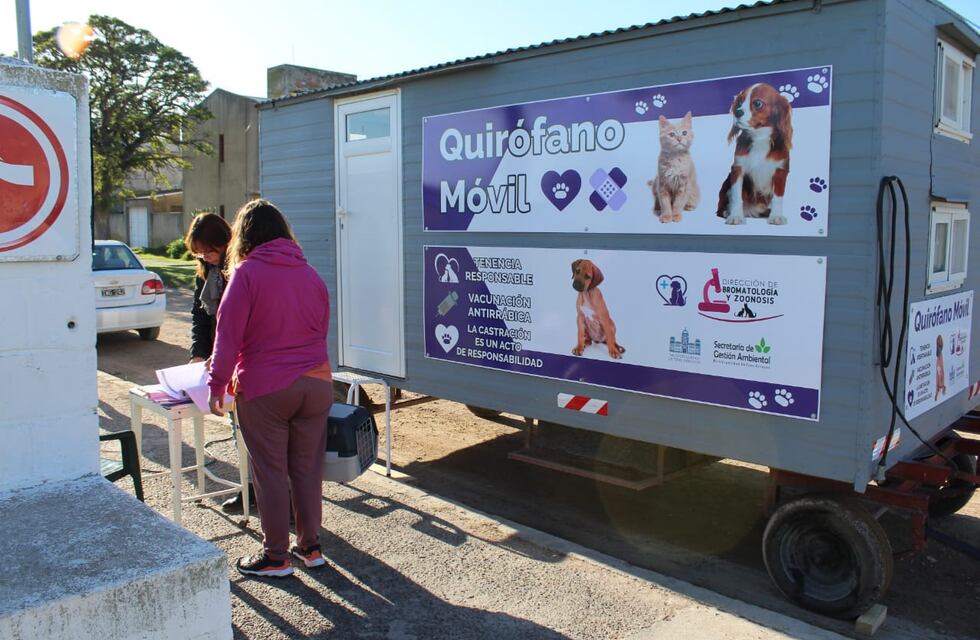 Castraciones gratuitas en Orense y en el Barrio Ruta 3 Sur