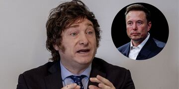 Musk y Milei, el intercambio menos esperado.