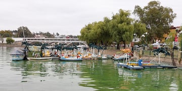 Lago San Roque de Villa Carlos lleno de algas agua contaminada color verde. (La Voz)