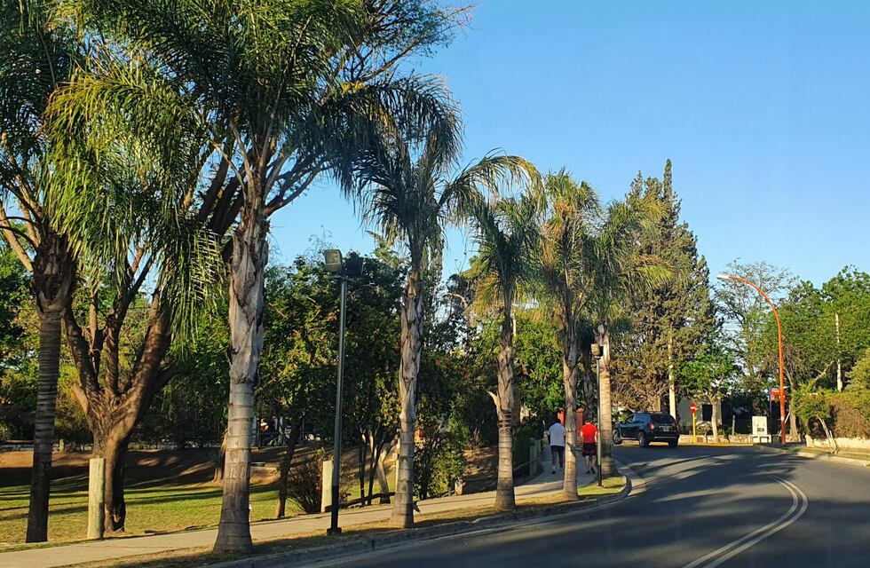 Coronavirus: viernes con más pacientes recuperados en Carlos Paz