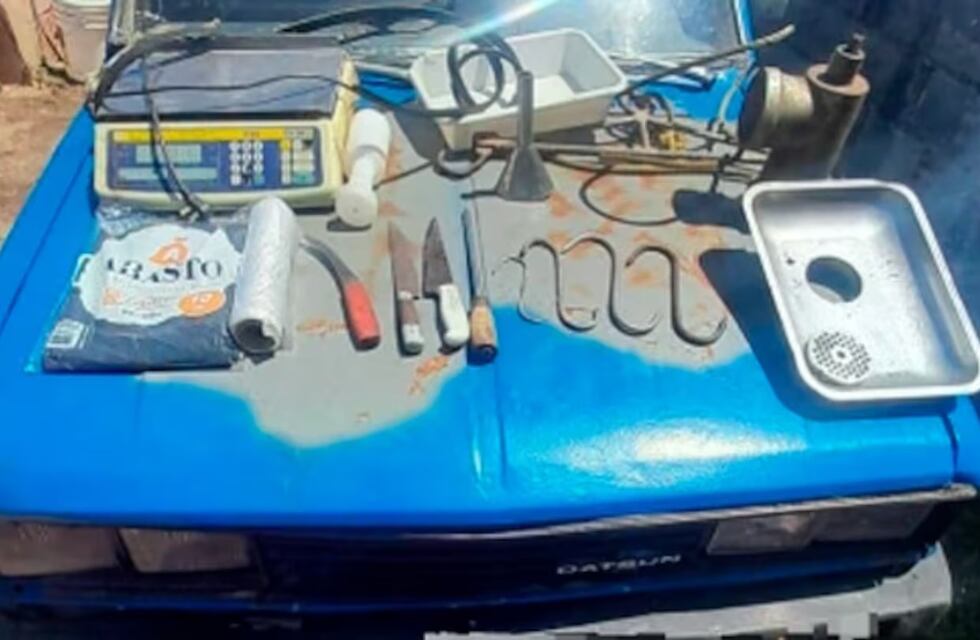 Espantosa escena en Córdoba: un hombre faenó un caballo en el patio de su casa