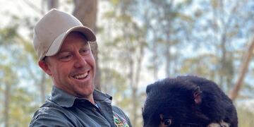 Demonio de Tasmania exterminan pingüinos en una isla