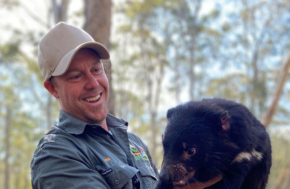 Los demonios de Tasmania exterminaron 6000 pingüinos en una isla de Australia