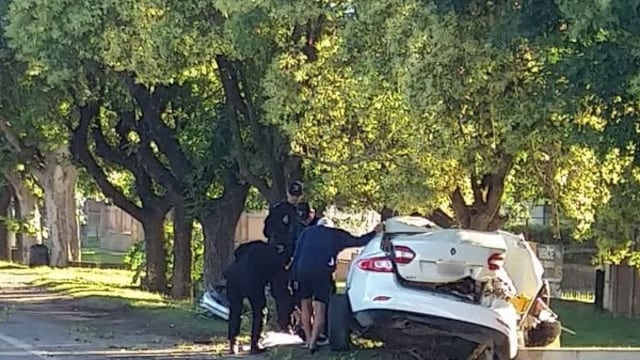 Trágico accidente en Pérez: se incrustó en un árbol tras perder el control de su auto (Pérez Informa)