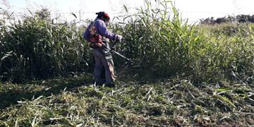 Demalezado y control de lotes por parte de la Municipalidad de Rafaela