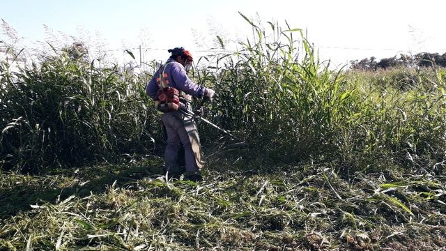 Demalezado y control de lotes por parte de la Municipalidad de Rafaela