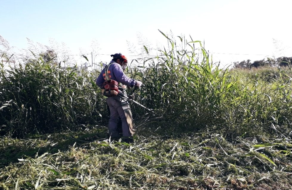 Control para el mantenimiento de malezas en lotes, terrenos y veredas