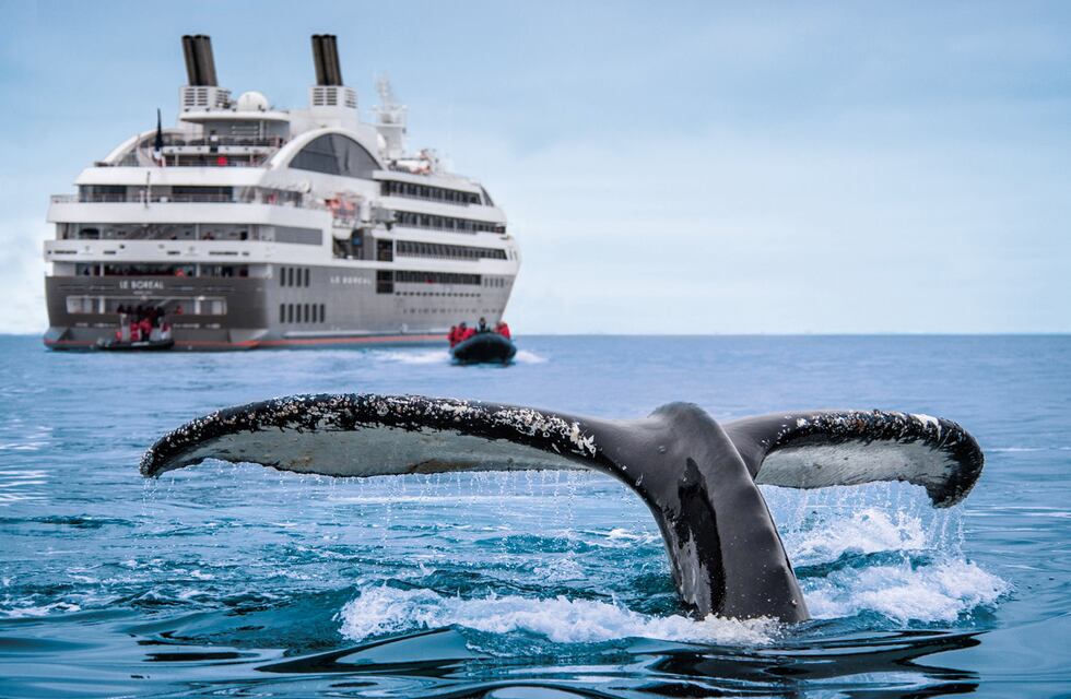 Partirá desde Ushuaia a la Antártida el primer crucero 100% LGBTIQ+