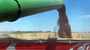 Las medidas sobre las retenciones que propone Milei.