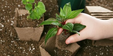 Empleo Verde: brindan un curso de jardinería inicial