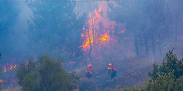 Los incendio forestales en El Hoyo se desataron el domingo 15 de enero.