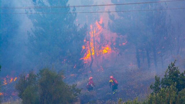 Los incendio forestales en El Hoyo se desataron el domingo 15 de enero.