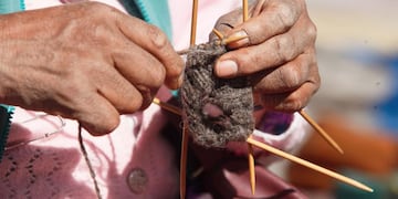 La tradición textil de la Quebrada de Humahuaca es eje de la muestra temporal “La crianza mutua. Cultivo, domesticación y amparo textil” que ofrece el Museo Terry de Tilcara (Jujuy).