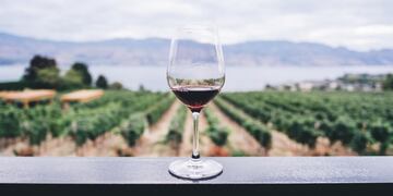La ruta del vino es de las actividades más elegidas por los turistas cuando van a Mendoza.