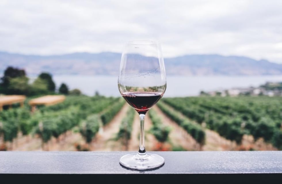 Ruta del vino: las 10 bodegas de Mendoza más recomendadas para visitar