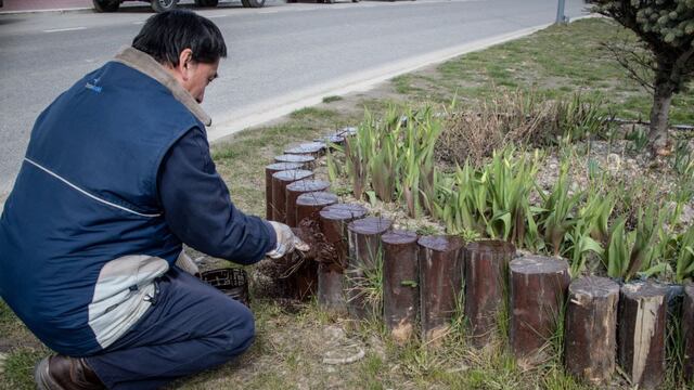 Reacondicionan los espacios verdes de Ushuaia