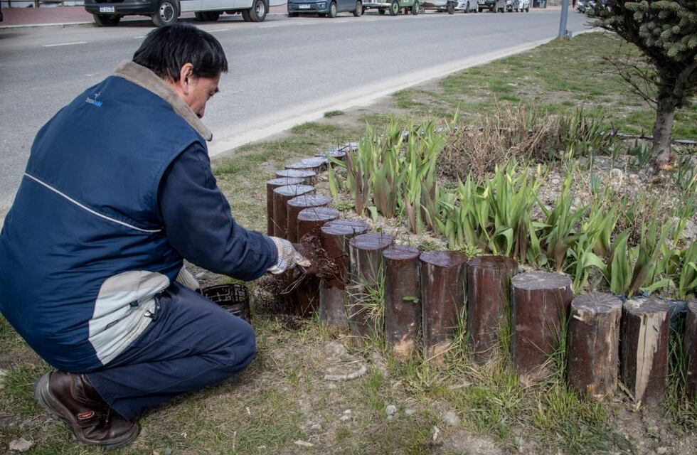 Reacondicionan los espacios verdes de Ushuaia