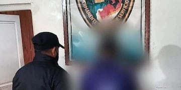 Un hombre terminó detenido tras ejercer maltrato animal en Panambí.