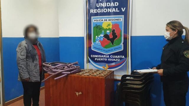 Efectivos policiales lograron recuperar elementos robados de un establecimiento escolar en Puerto Iguazú.
