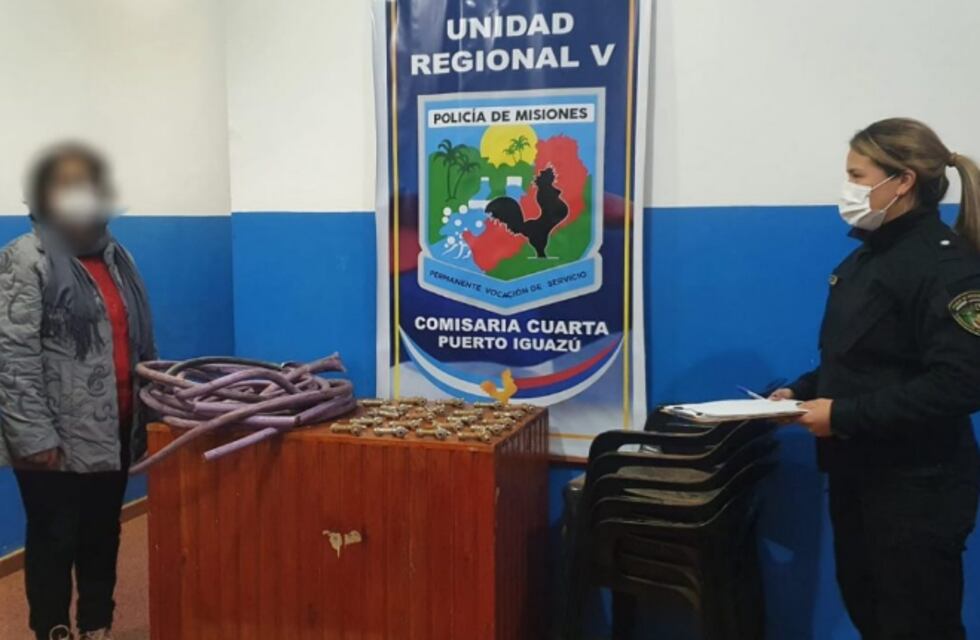 Efectivos policiales lograron recuperar elementos robados de un establecimiento escolar en Puerto Iguazú