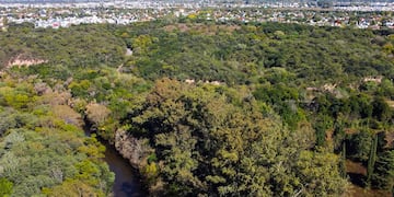 La Reserva Natural Urbana San Martín, el bosque en medio de la ciudad de Córdoba. (Foto: Municipalidad de Córdoba)