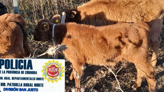 Animales recuperados en Zona Rural Marull