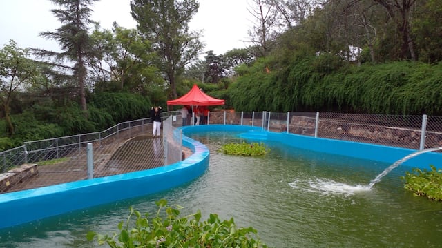 Aula ambiental en Carlos Paz
