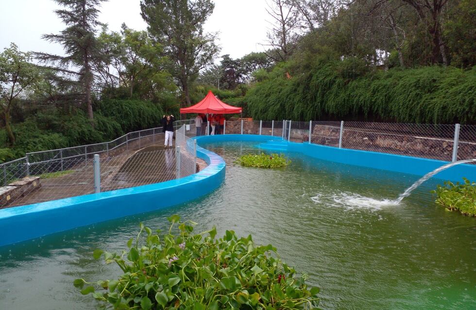 Carlos Paz: en sintonía con una clara política ambiental recuperaron un importante espacio educativo