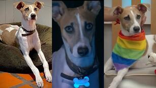 Así fue el primer día de Arturito en Gran Hermano 2024: ya eligió a su participante favorito y durmió con él