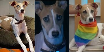 Así fue el primer día de Arturito en Gran Hermano 2024: ya eligió a su participante favorito y durmió con él