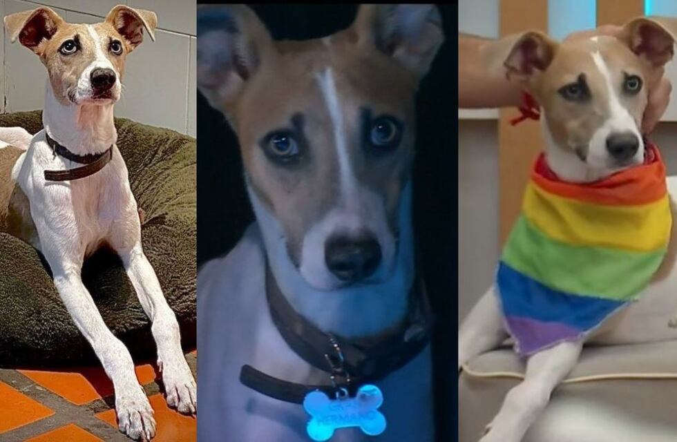 Así fue el primer día de Arturito en Gran Hermano 2024: ya eligió a su participante favorito y durmió con él