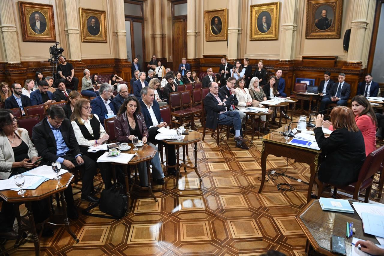 La Comisión de Asuntos Constitucionales dictaminó a favor de insistir en la redacción original de la Ley de DNU (Foto: Comunicación Senado)