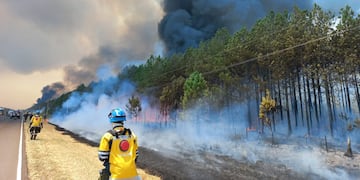 Una delegación cordobesa ayuda en el combate de incendios en Corrientes.