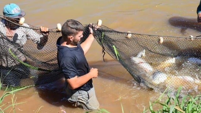 Buscan mejorar la demanda y la situación económica sector de la piscicultura