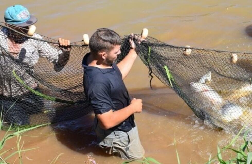 Buscan mejorar la demanda y la situación económica sector de la piscicultura