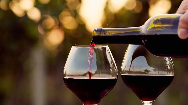 Feria de Vinos G14: una noche para degustar y disfrutar