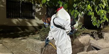 Maipú lucha contra el dengue.