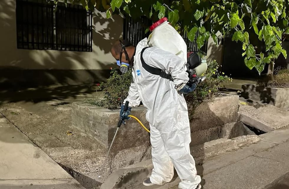 Maipú lucha contra el dengue