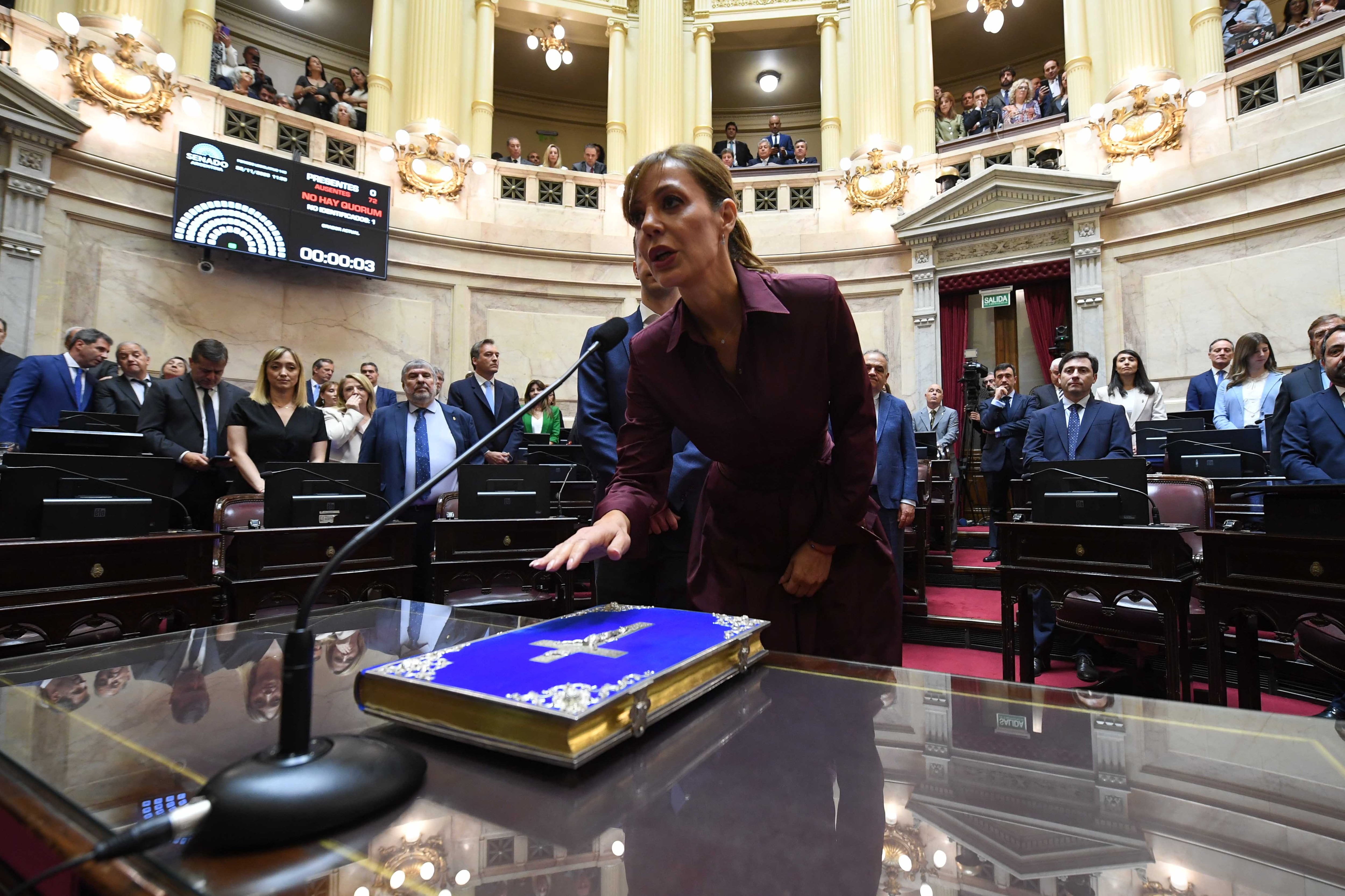 La senadora salteña Flavia Royón en la sesión de jura (Foto: Comunicación Senado)