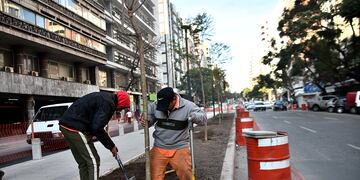 Comenzó la plantación de árboles en el tramo nuevo del bulevar Chacabuco.