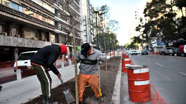 Comenzó la plantación de árboles en el tramo nuevo del bulevar Chacabuco.