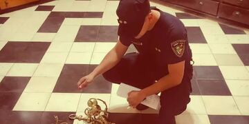 “Elegante” detenido: robó candelabros de la Catedral de Posadas.