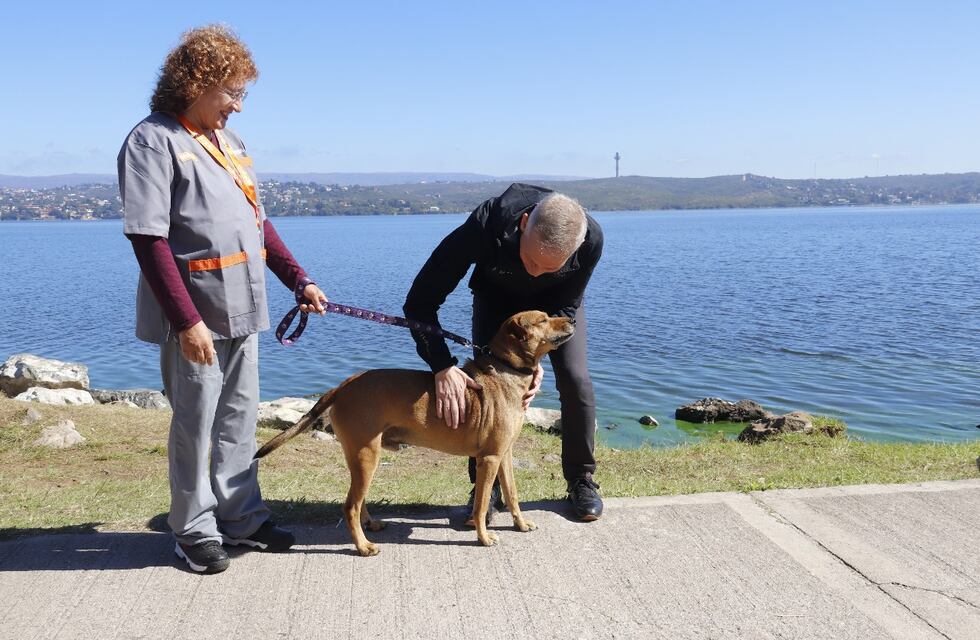 Carlos Paz: abren turnos de castración para agosto en el marco del programa “Familias con Huellas”