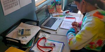 En la provincia se implementó un sistema bimodal con clases virtuales debido a la pandemia de coronavirus.