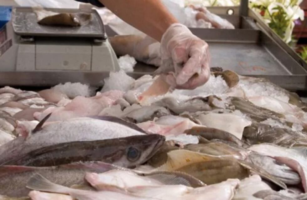 Semana Santa en Posadas: controlarán la venta de pescado para evitar enfermedades