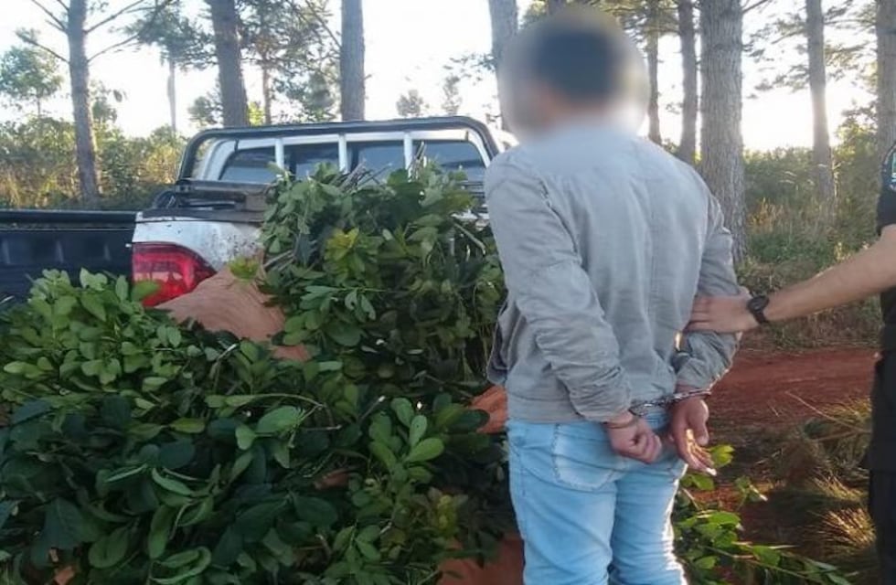 Un detenido acusado de robar yerba mate en San Pedro