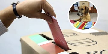 Las mascotas se volvieron virales en las elecciones de Santa Fe.