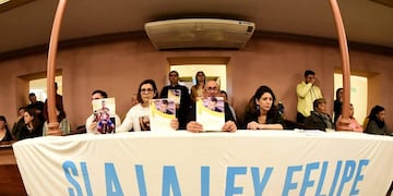 Ley Felipe obtuvo media sanción en la Cámara de Diputados de Entre Ríos.